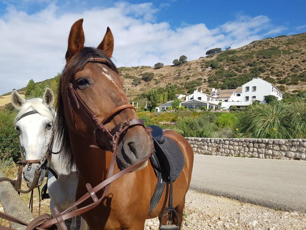 Hotel Fuente Del Sol Antequera Eksteriør bilde